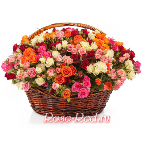 Розовое счастье