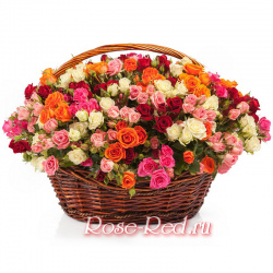 Розовое счастье