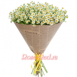 Любовь и верность