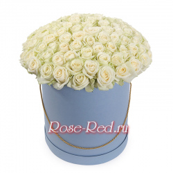 Прекрасная вселенная 101 белая роза