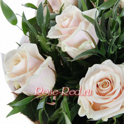 Семь кремовых роз