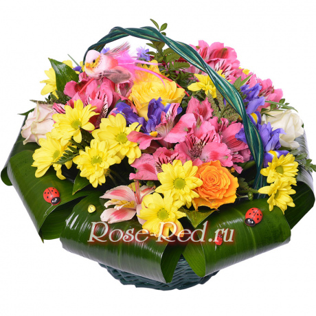 Счастье в дом