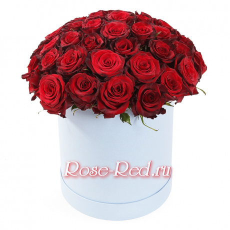 Торжество любви