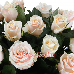 Жемчужная россыпь