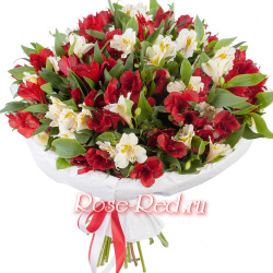 Вспышка счастья