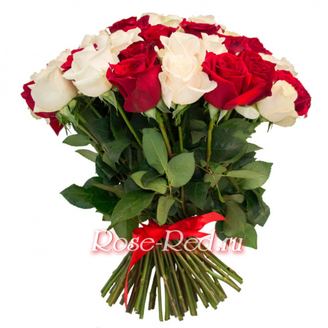 Розы белые и красные премиум
