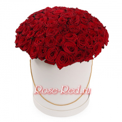 101 красавица